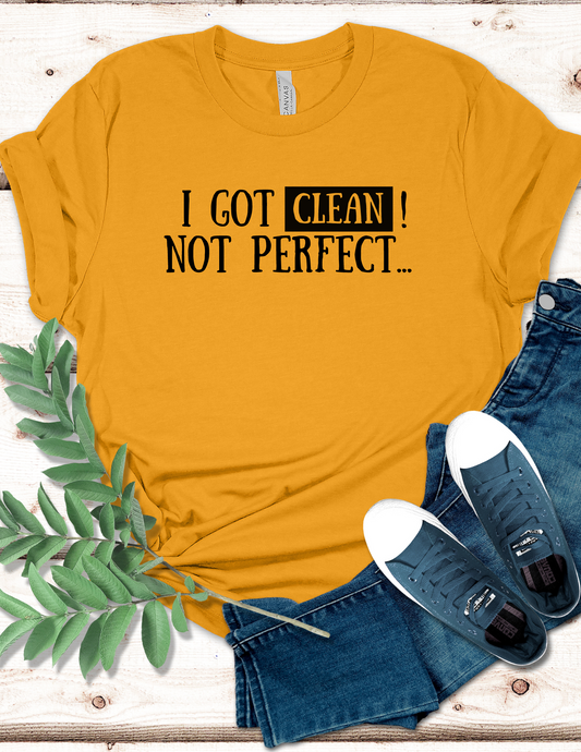 I got Clean, not perfect T-Shirt