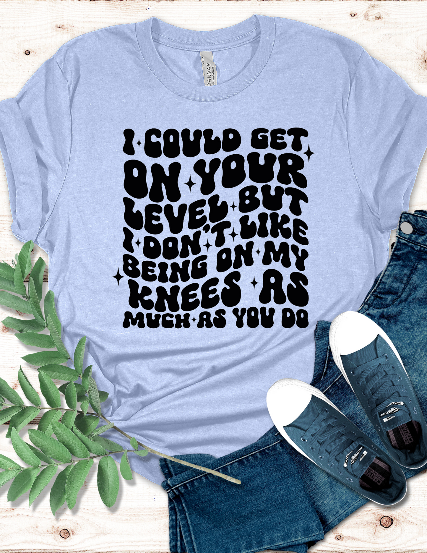 I could get on your level, but I don’t like being on my knees as much as you do T-Shirt